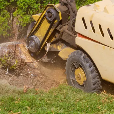Stump Grinding